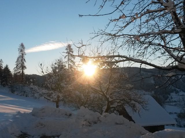 Erlebnisbauernhof Formaugut